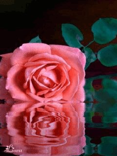 file_59690805