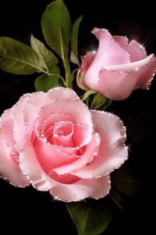 file_97536293