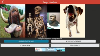 Image Combiner