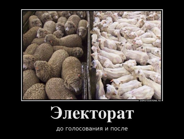 file_70843503