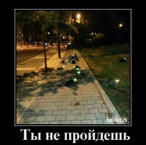 IMG 20190712 084227