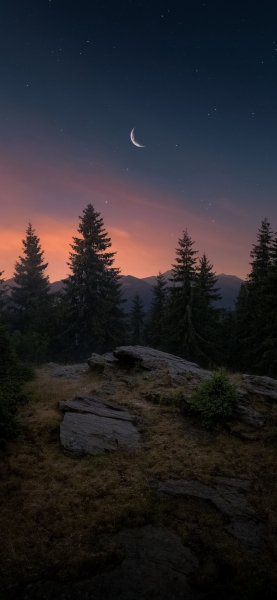 file_100855739