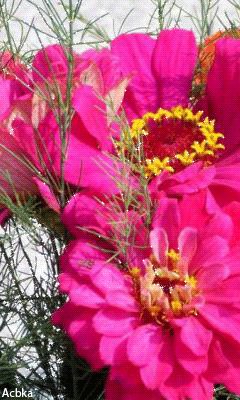 file_59490925