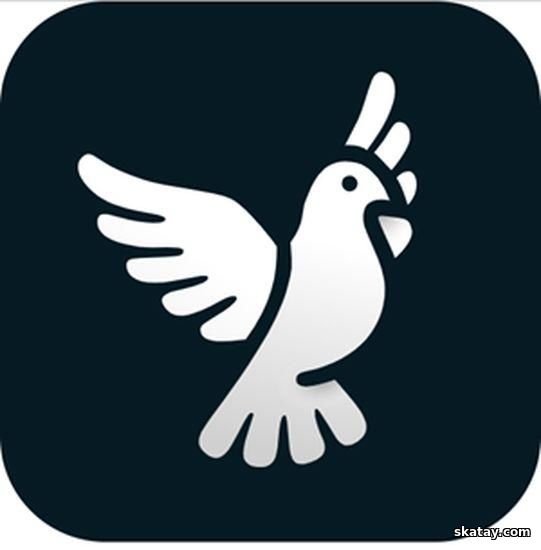 ByeByeDPI.v1.4.8