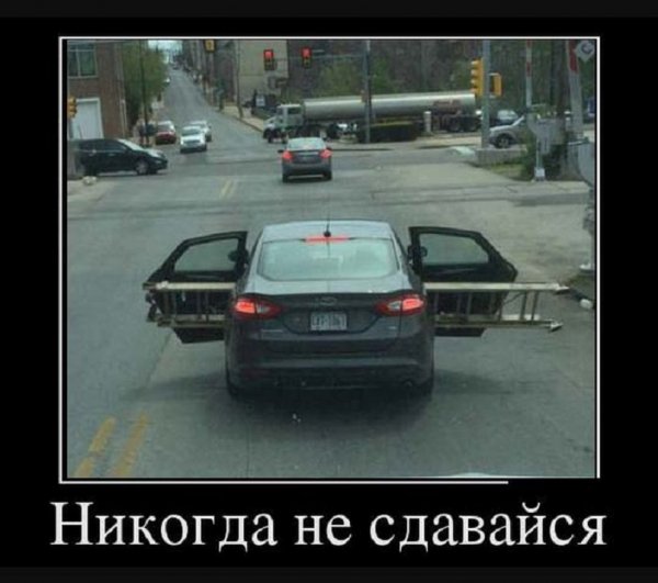 Никогда не сдавайся