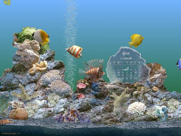 Aquarium Calendar