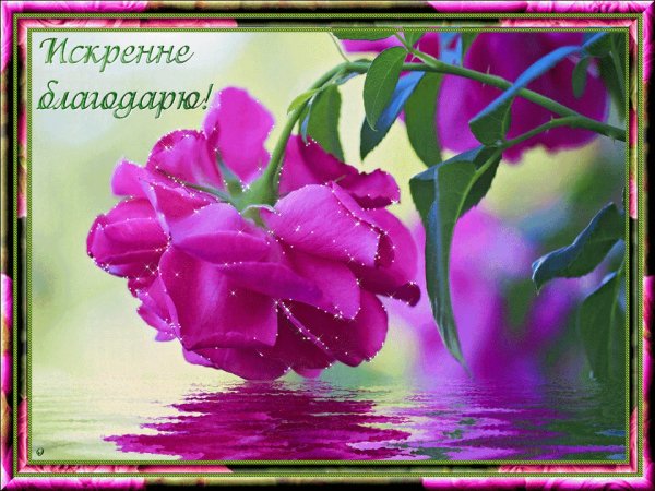 Искренне благодарю!