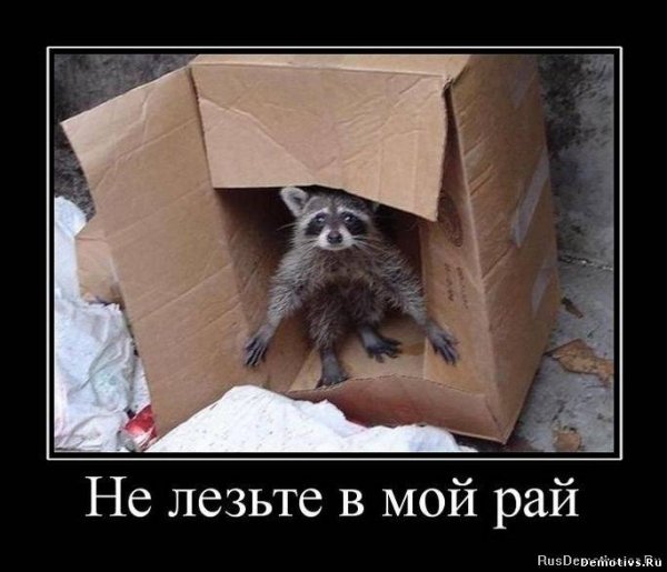 file_64884422