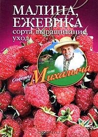 Малина ежевика. Сорта выращивание уход