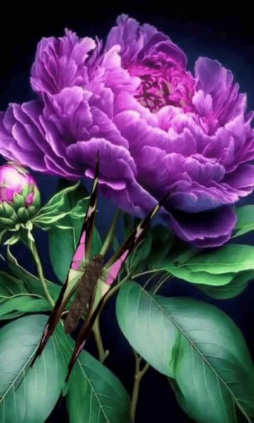 file_98872575