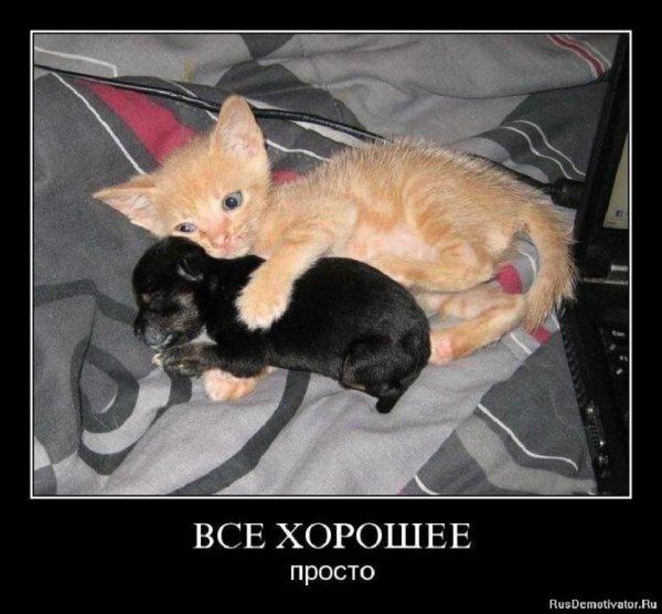 Всё хорошее просто