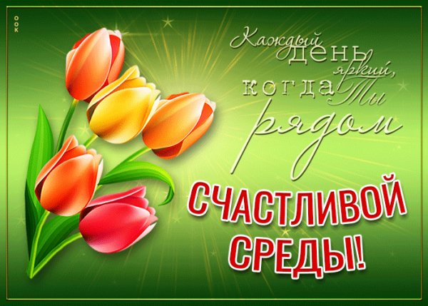 среда 041005