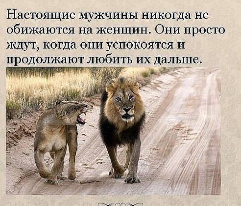 настоящий