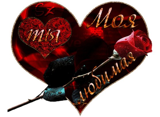 ты моя любимая