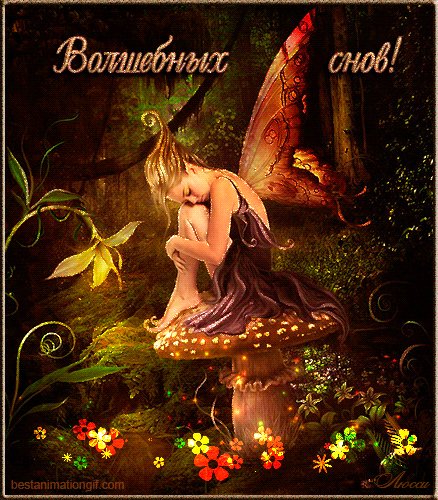 Волшебных снов