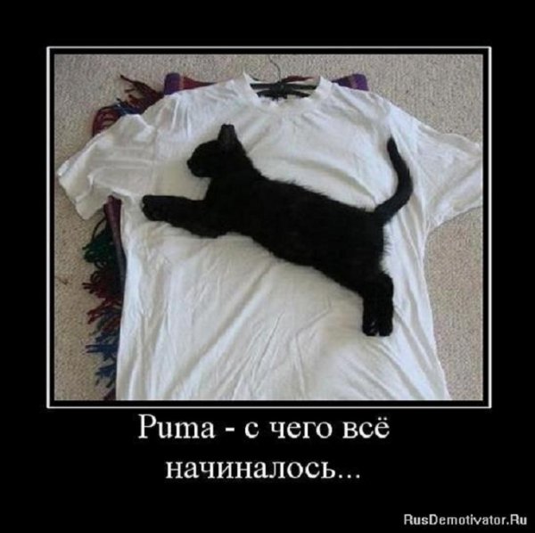 ПУМА - с чего всё начиналось