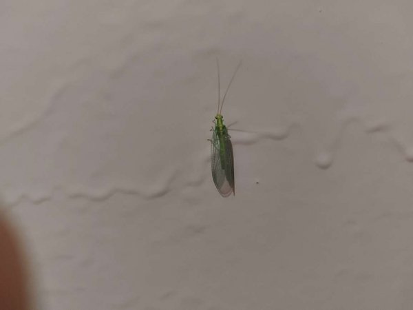 file_82138064