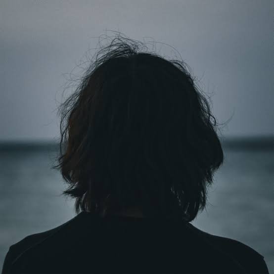 Gibran Alcocer - Idea 20