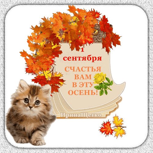 Анимированная открытка 1сентября