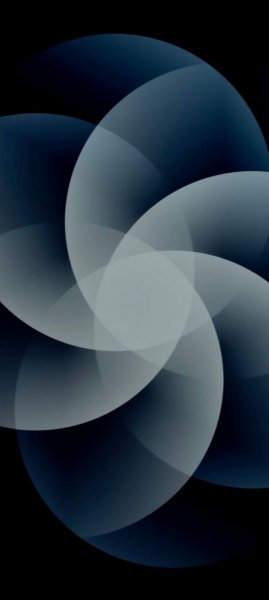 adapted 1080x2408 1777366710