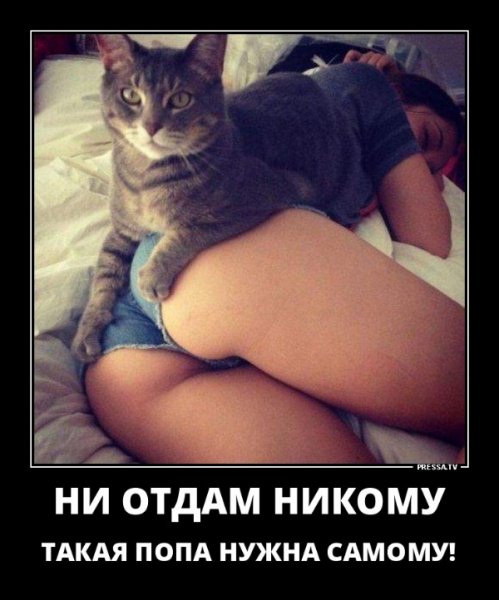 file_77061637