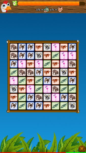 my zoo