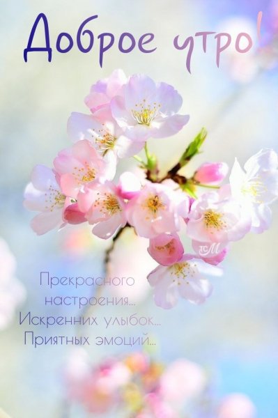 Доброе утро