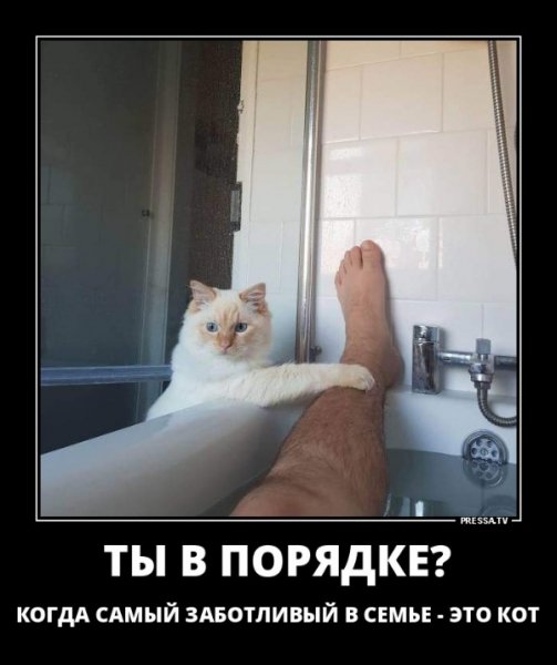 file_77390913