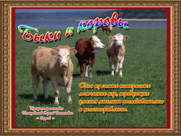 БЫКИ И КОРОВЫ