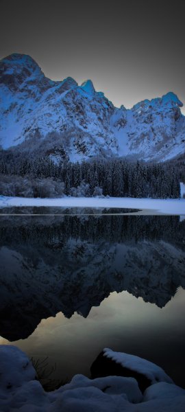 file_101835814