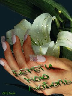 file_50000555