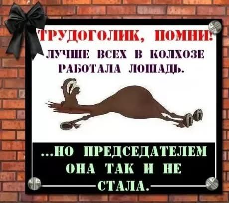 FB IMG 1778184802477