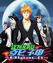 Bleach 240 nok