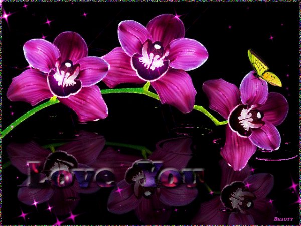 file_73653101