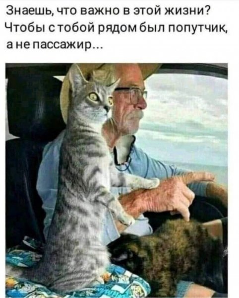file_101433552