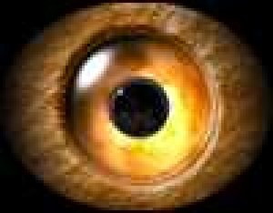Alarm Games 240x320 se
