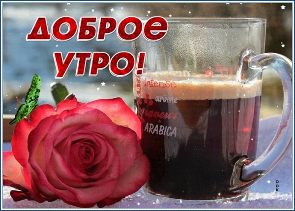file_98886647
