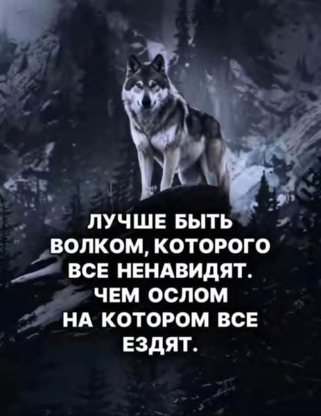 FB IMG 1777983974245
