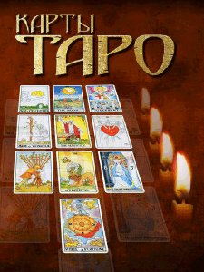 Taro