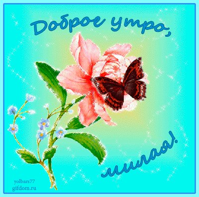 Доброе утро