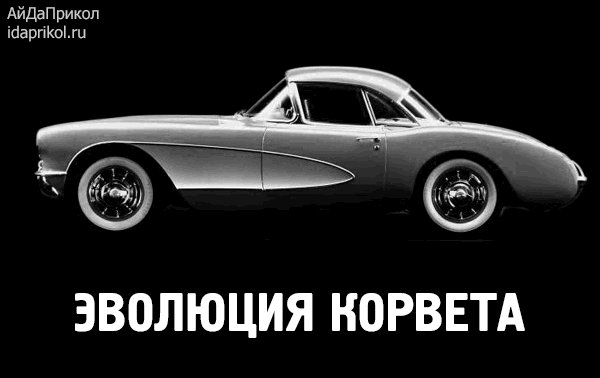gif 1455551204
