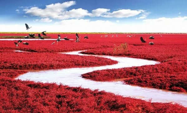 Красные берега реки Ляохэ Китай