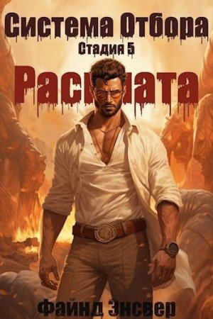 Энсвер Файнд Система Отбора. Стадия 5. Расплата