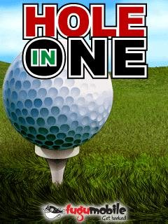 hole in one 240x320