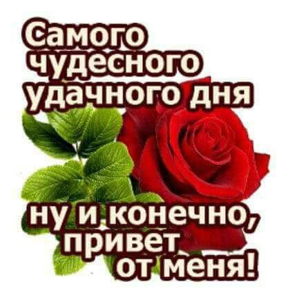 IMG 20181211 984309