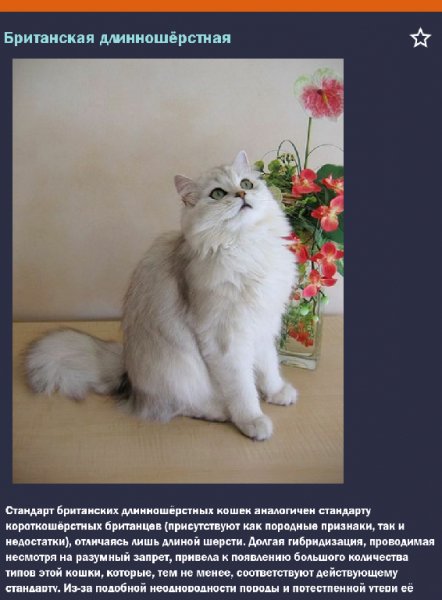 Породы кошек 1.81