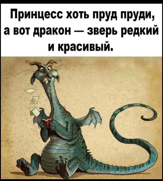FB IMG 1778184520702