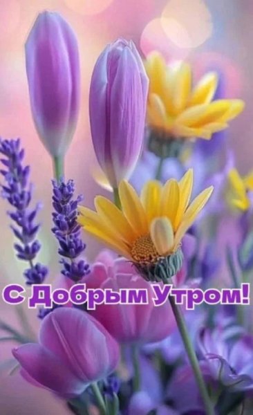 С добрым утром!