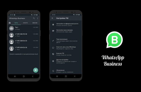 YMWhatsApp.Business v.25.0 Clone mod