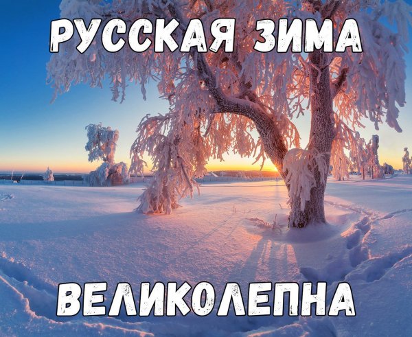 IMG 20190119 013933